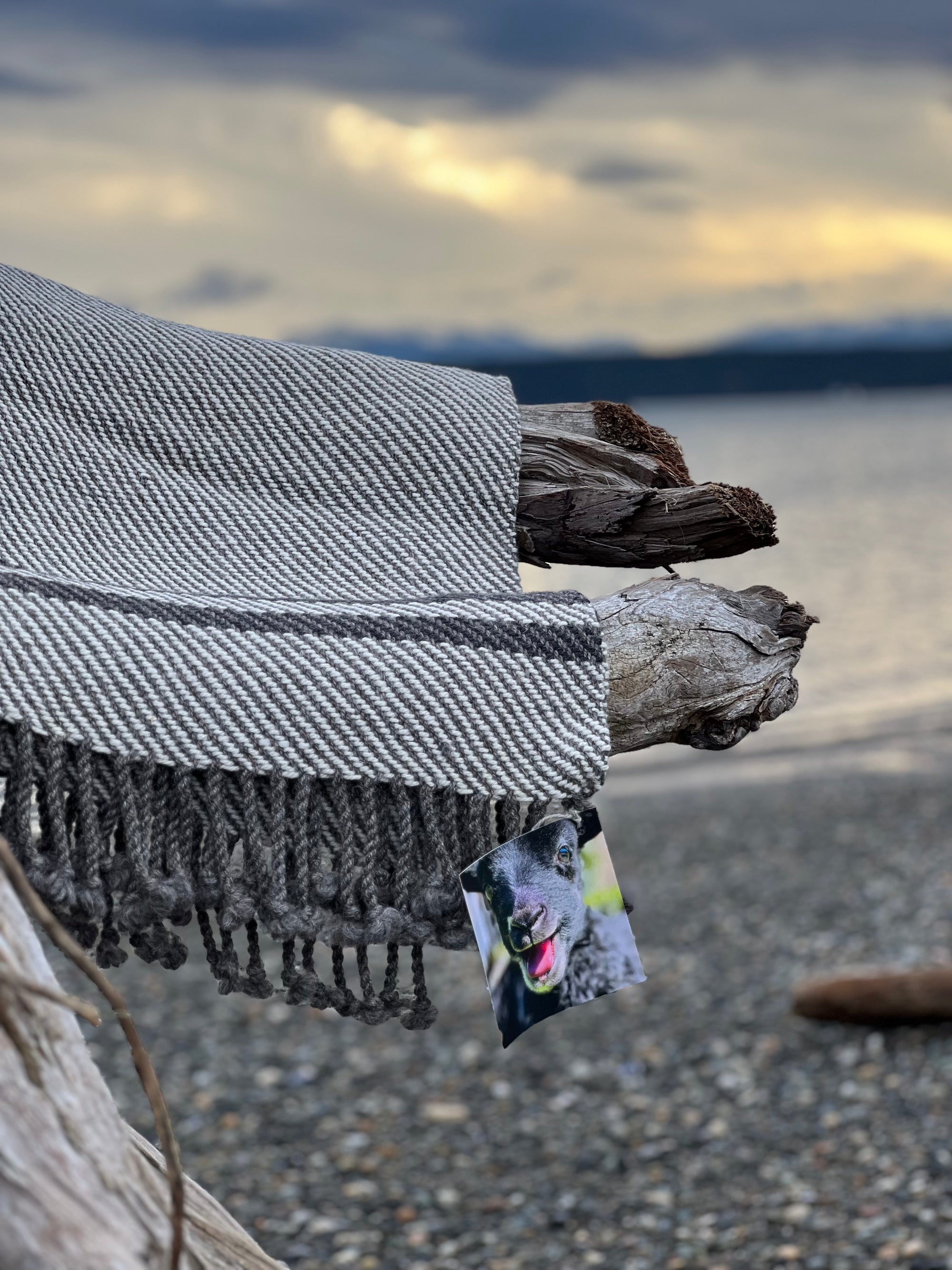 Chunky Throw With Twisted Fringe in Gray/White Twill With 3 Black Stripes