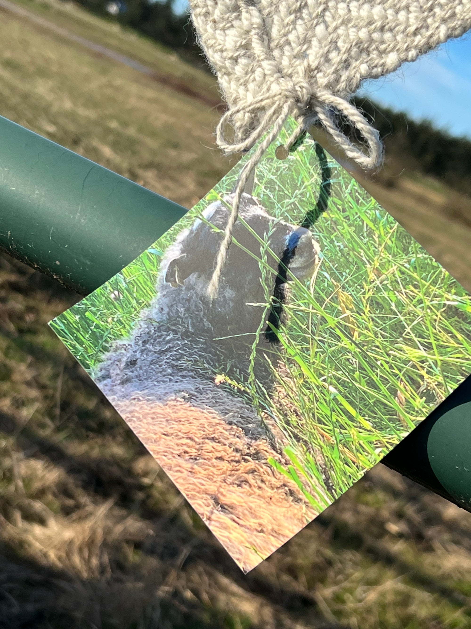 Chunky Blanket With Sewn Hem in White/Gray Twill with 6 2-Inch Black Stripes