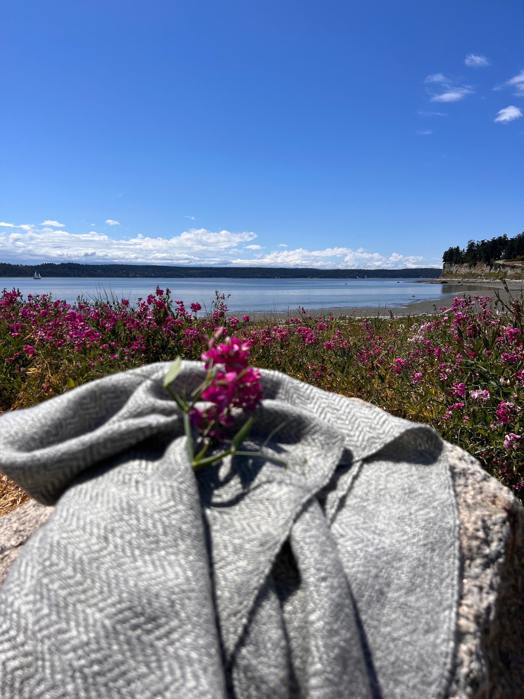 Finely Woven Throw With Twisted Fringe in Gray Twill With 3 Cream Stripes