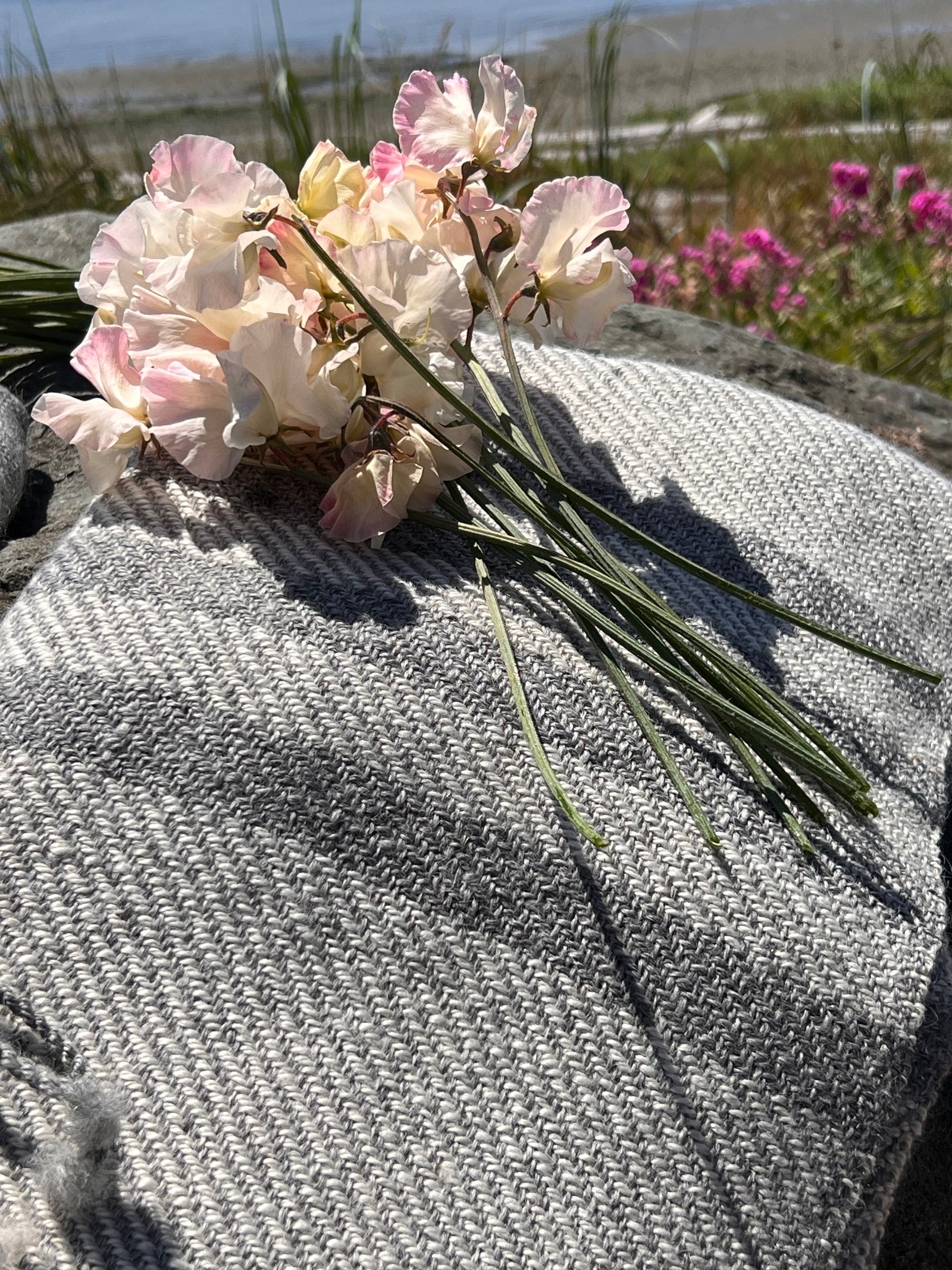 Finely Woven Throw With Twisted Fringe in White/Gray Twill With 4 Gray Stripes