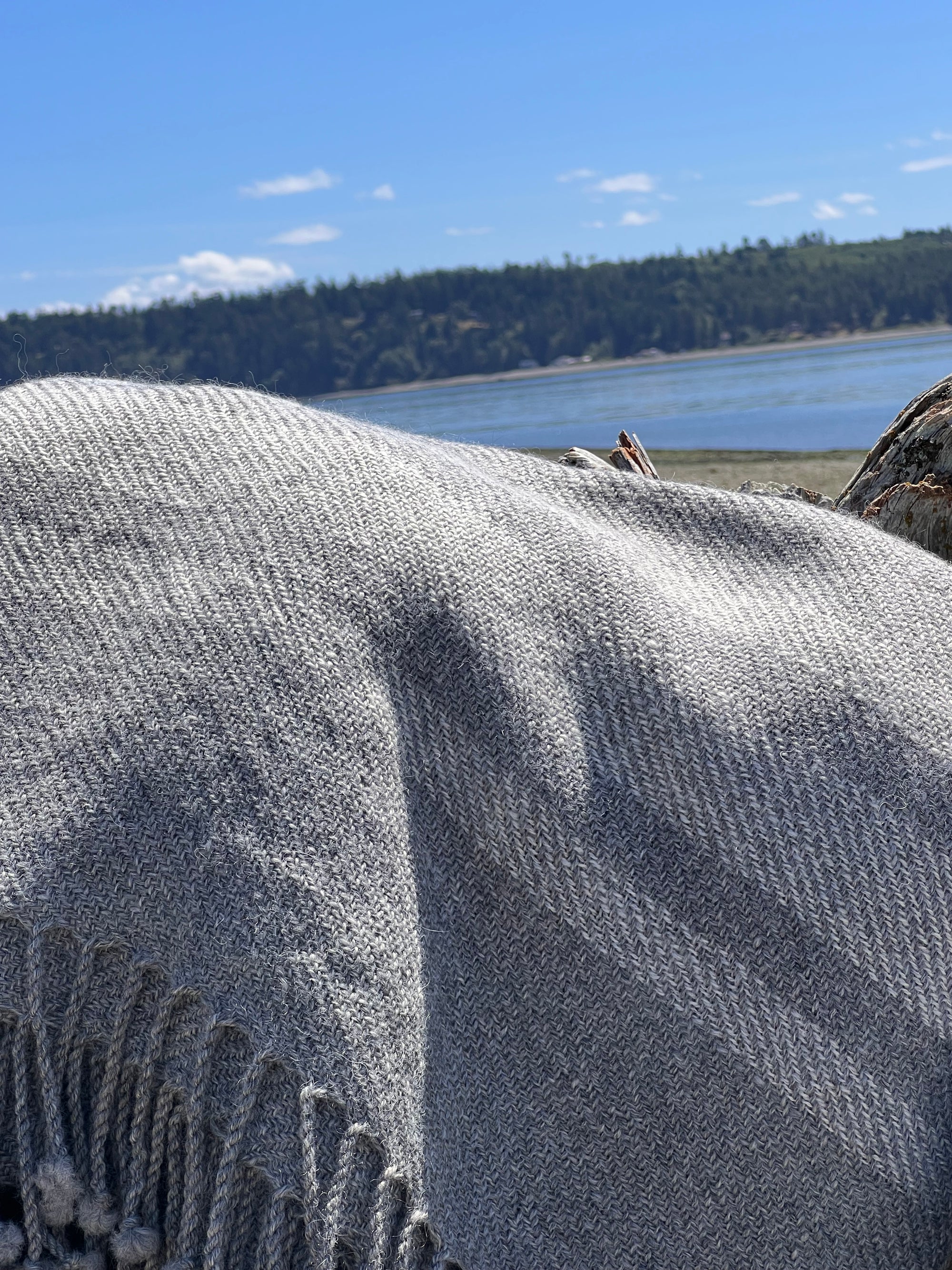 Finely Woven Throw With Twisted Fringe in Gray Twill With 3 Cream Stripes