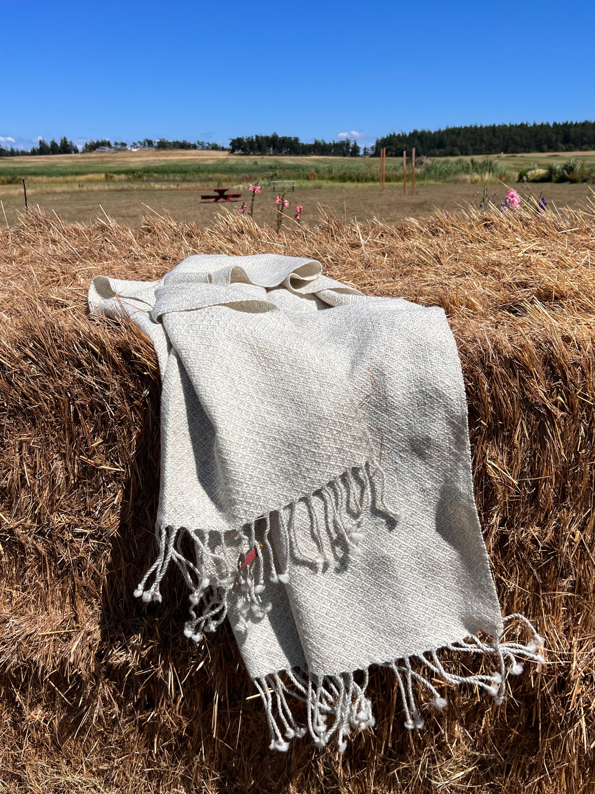 Finely Woven Blanket Scarf in Cream/Light Gray Plaited Diamond Weave