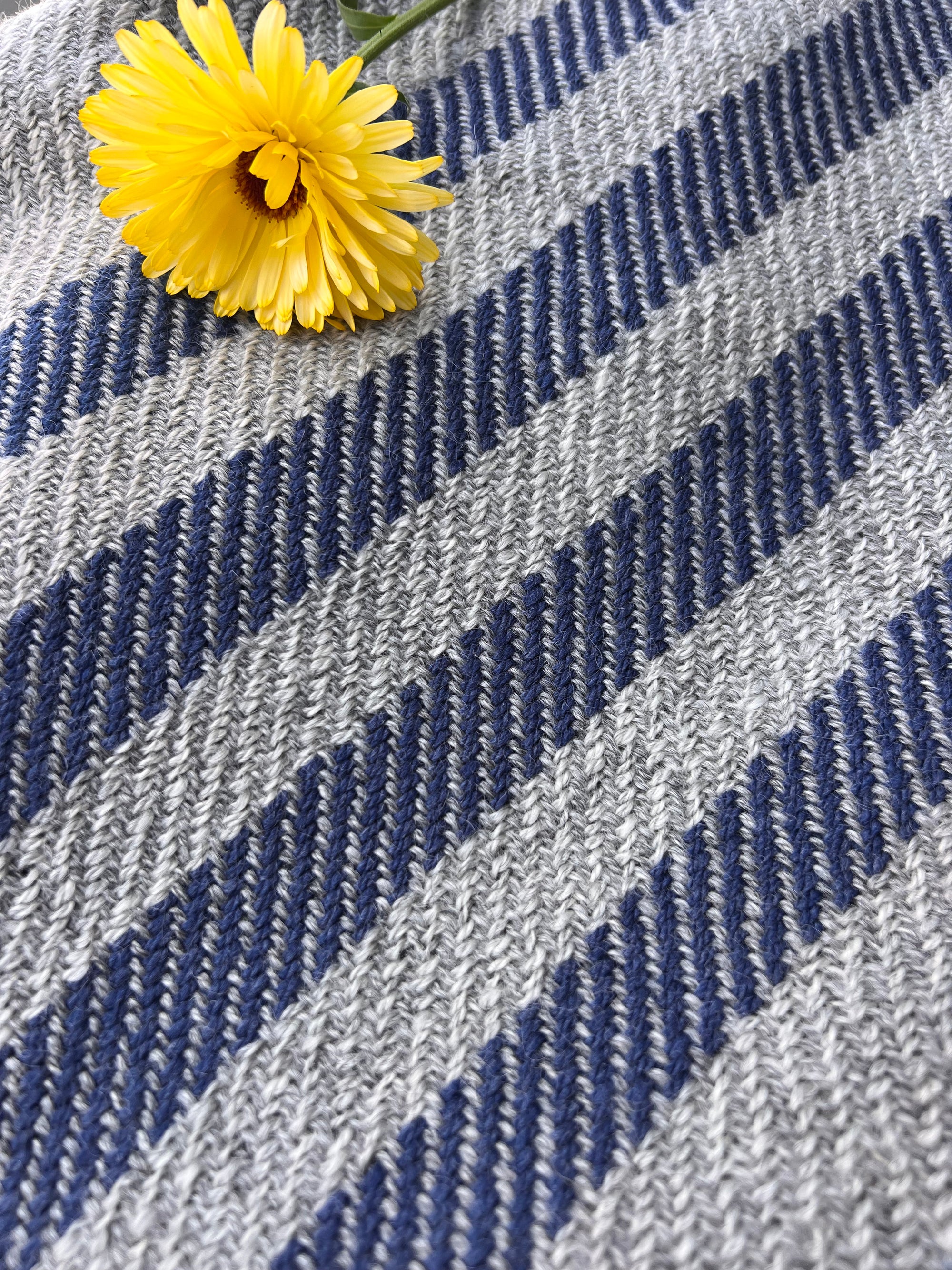Finely Woven Throw with Twisted Fringe in Gray/White Twill With 4 Marine Blue Stripes
