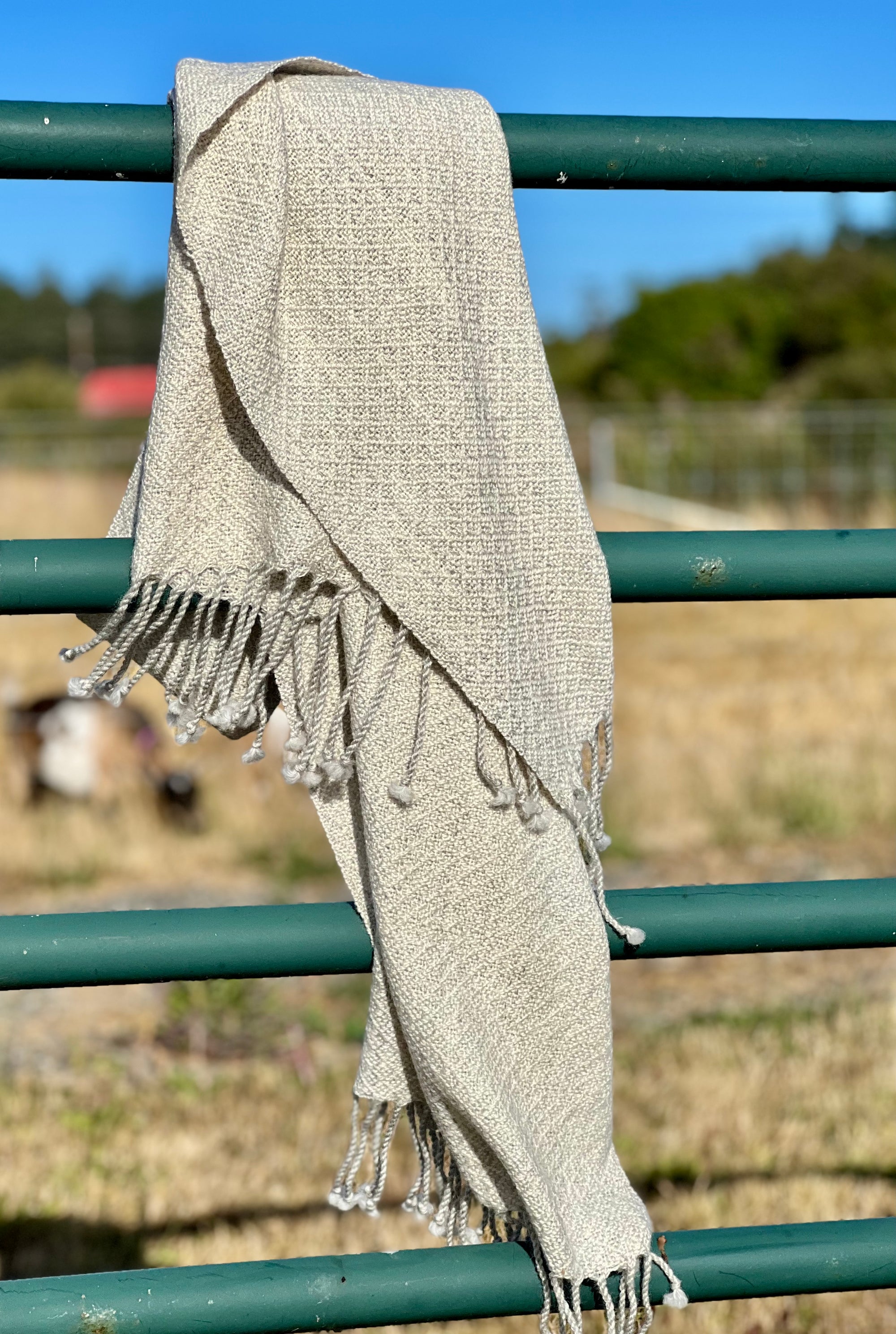Finely Woven Blanket Scarf in Light Gray Plaited Diamond Weave