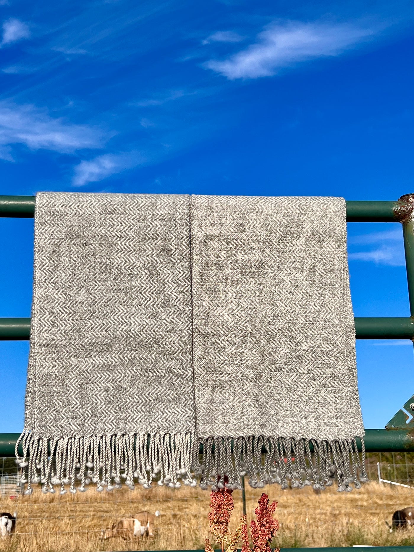 Finely Woven Blanket Scarf in Light Gray/Charcoal Gray Herringbone