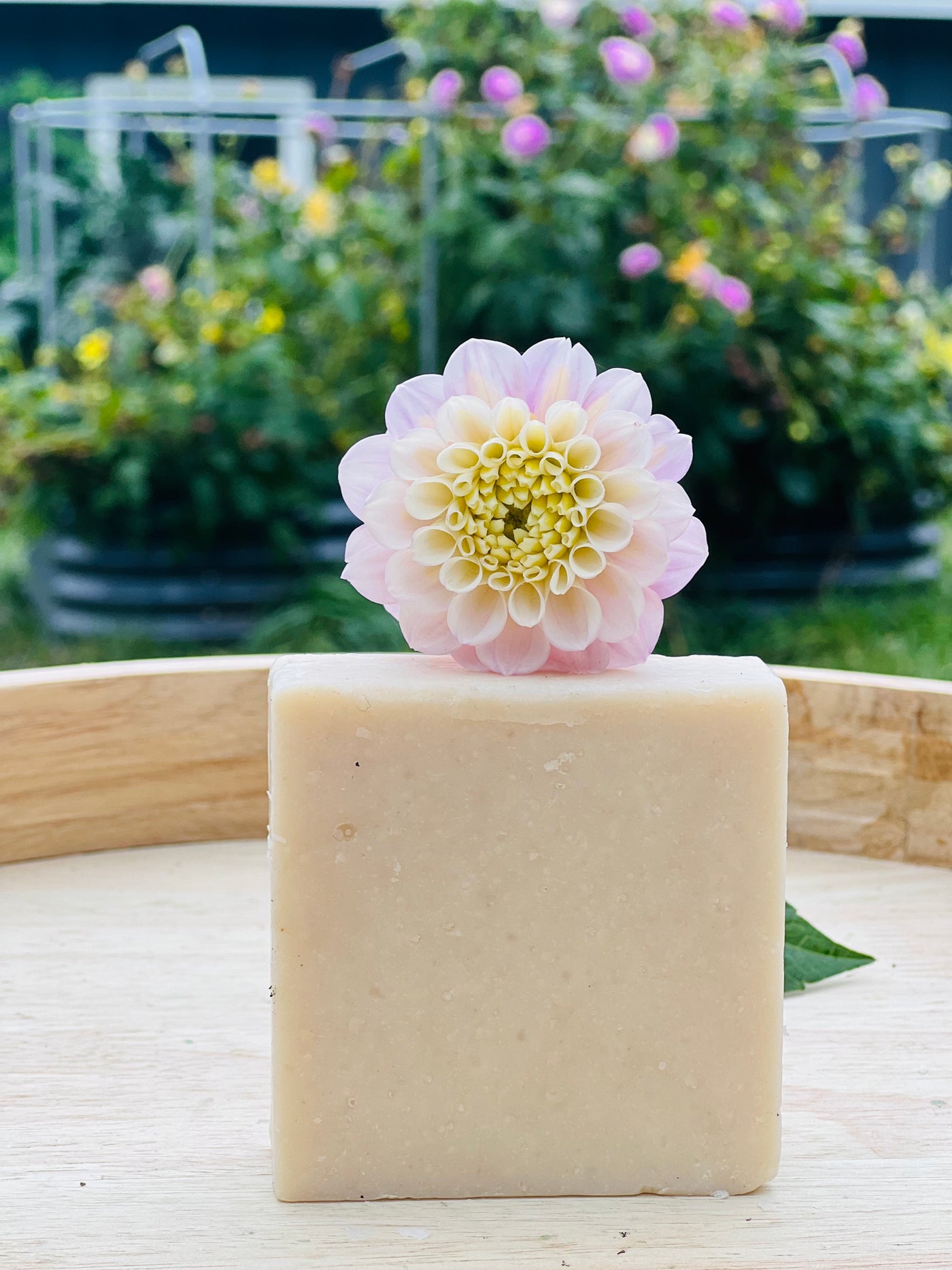 Avent Oatmeal Soap – Sweet Lotus Beauty LLC