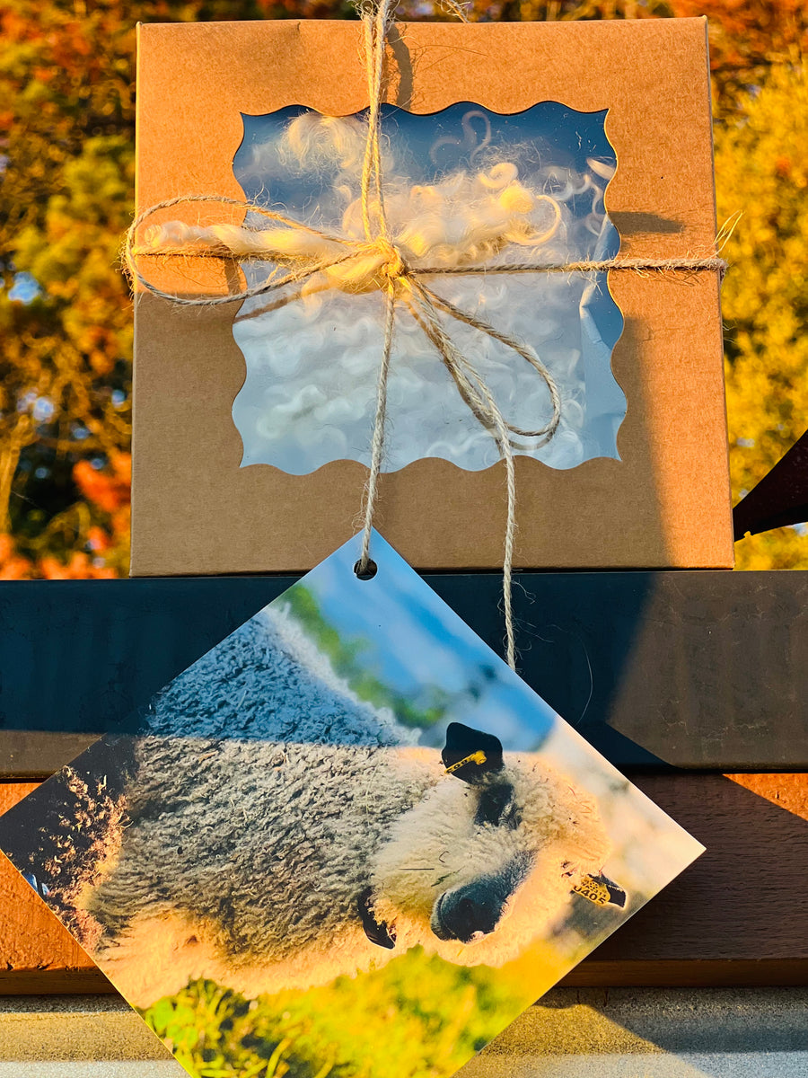 Washed White Wensleydale Locks