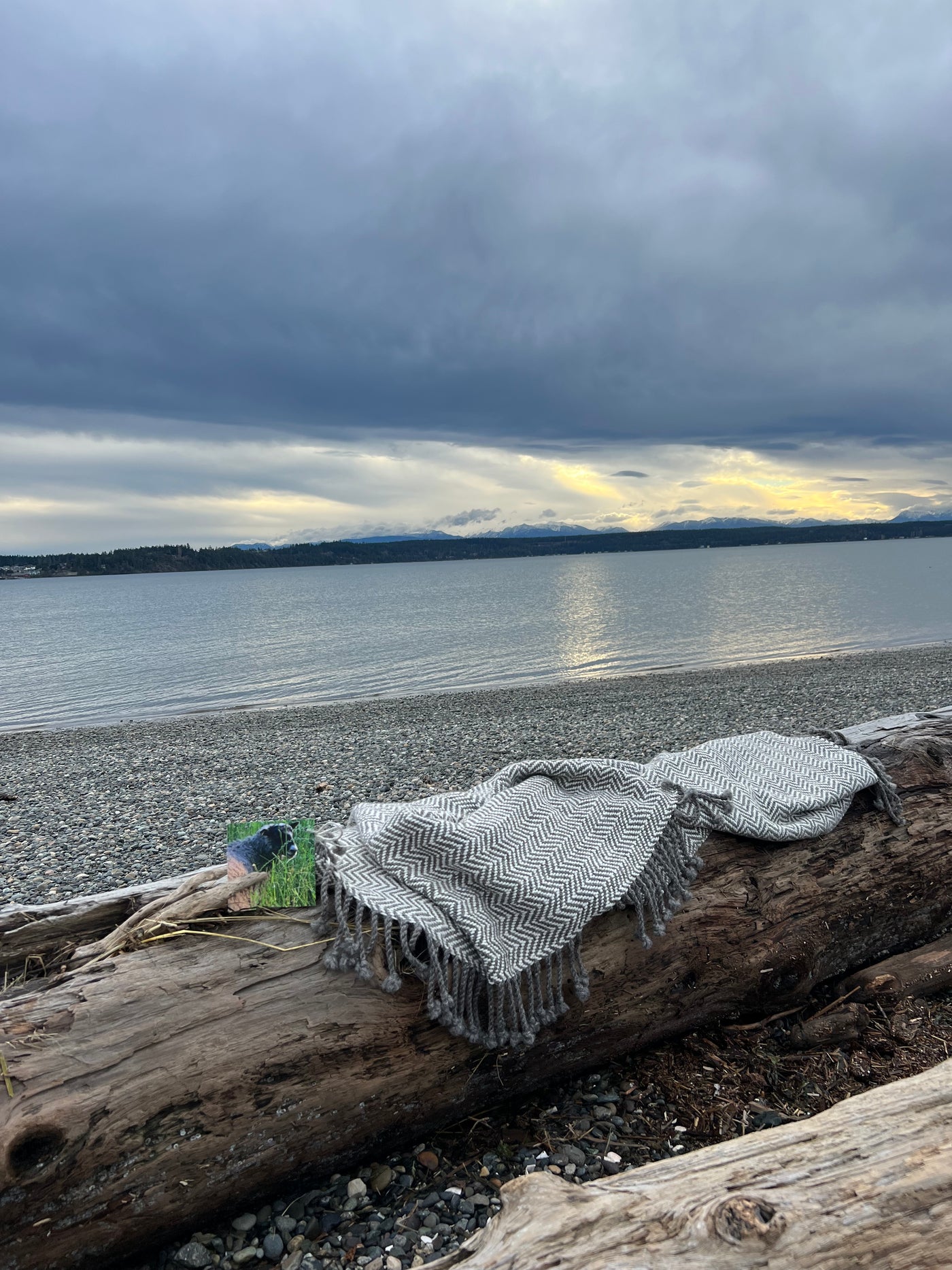 Chunky Throw With Twisted Fringe in Gray/White Herringbone