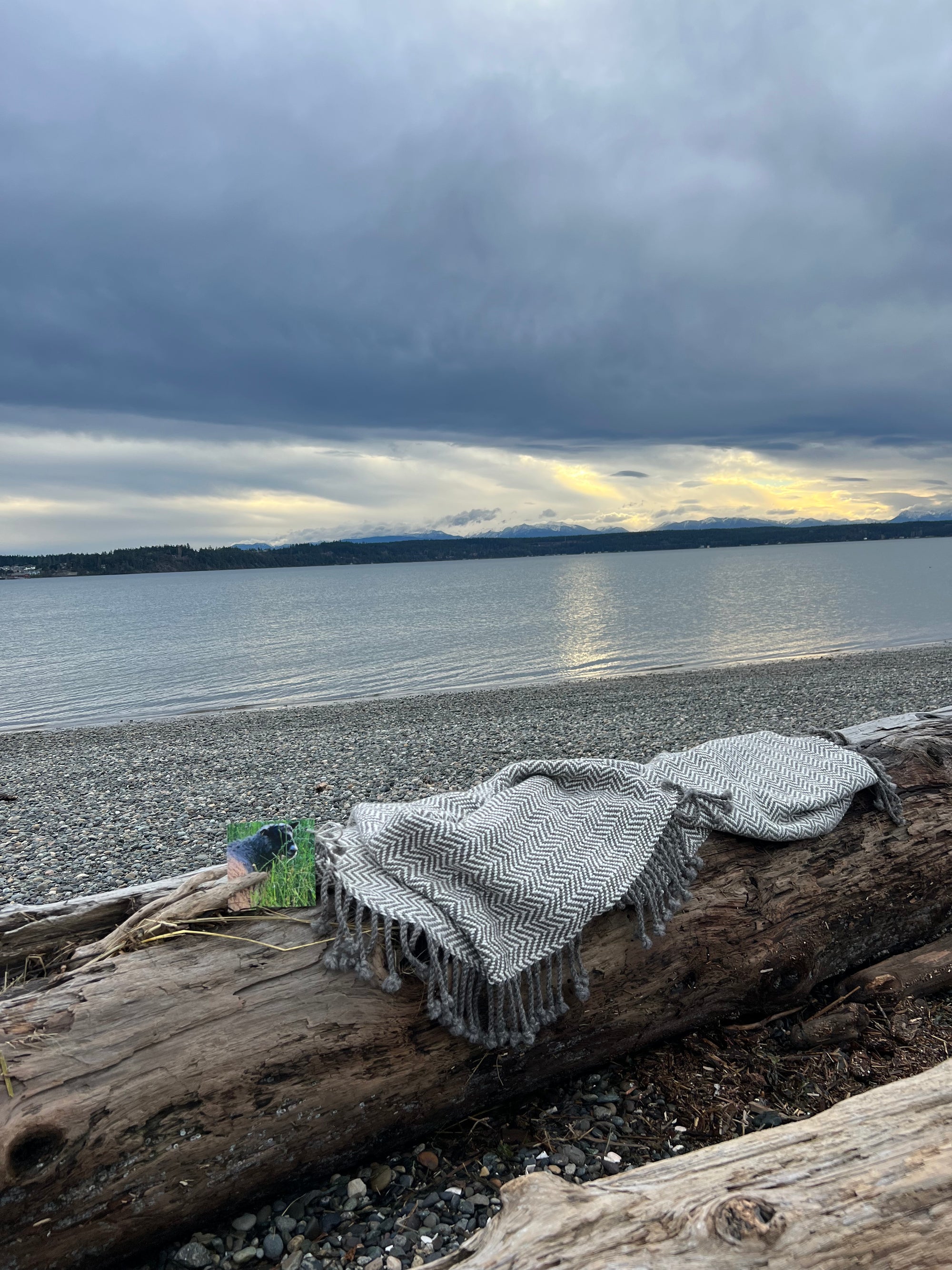 Chunky Throw With Twisted Fringe in Gray/White Herringbone