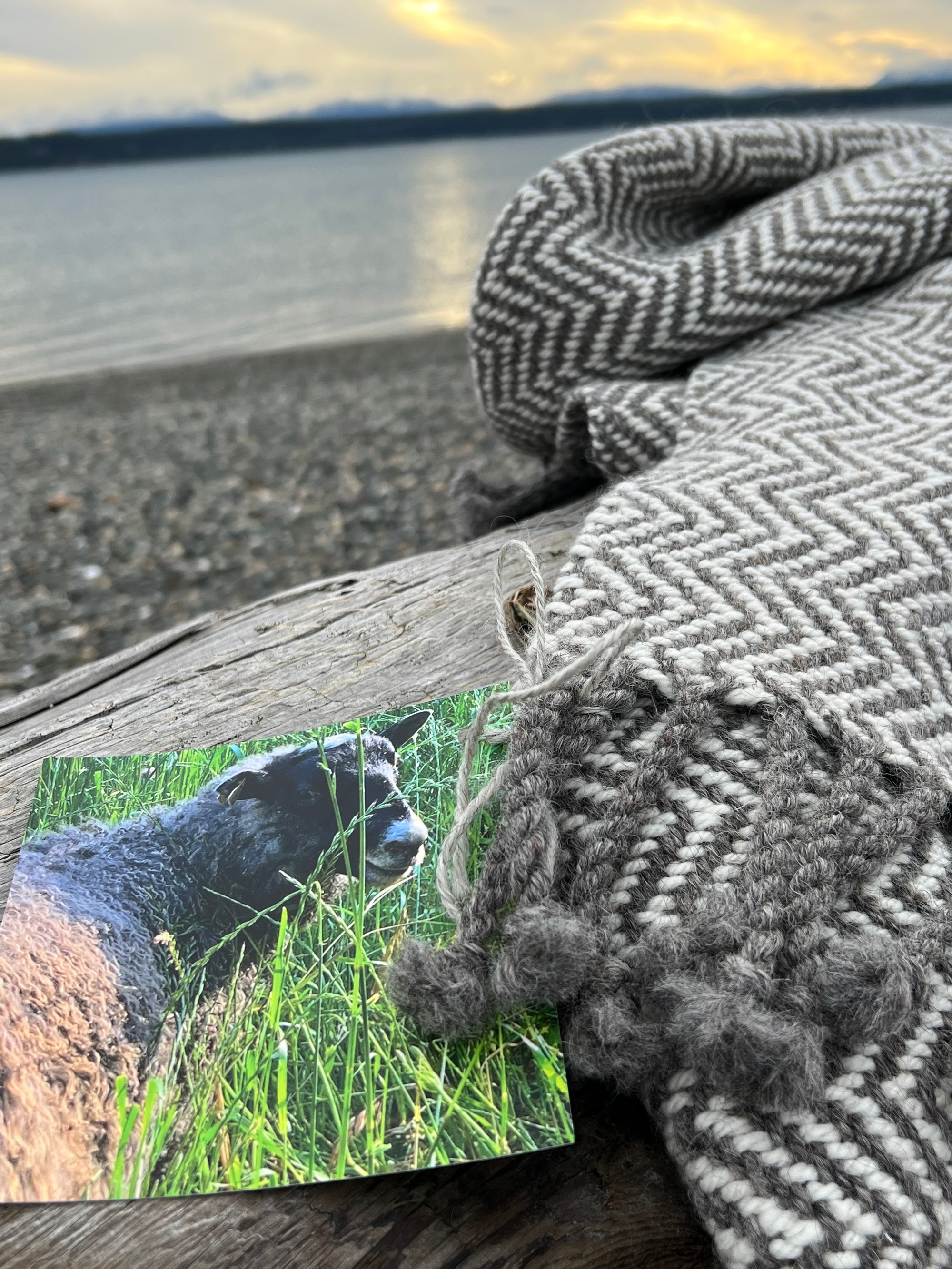 Chunky Throw With Twisted Fringe in Gray/White Herringbone