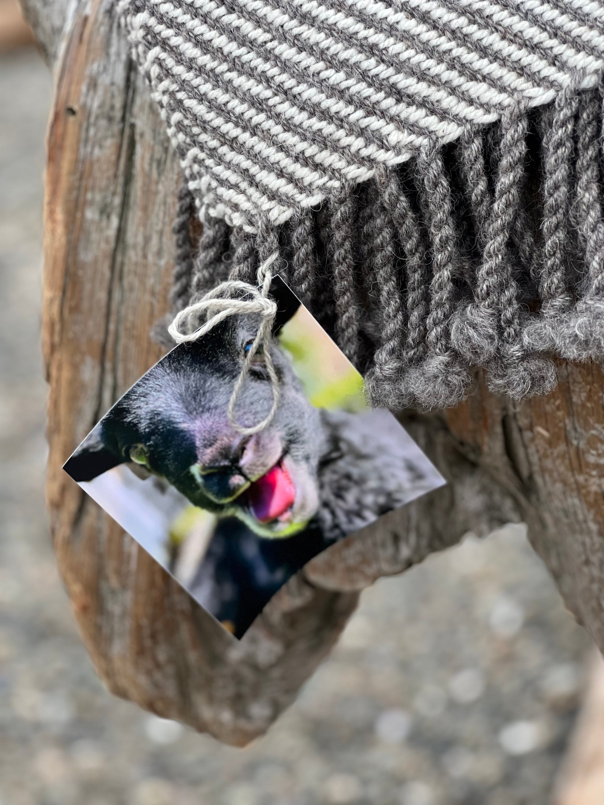 Chunky Blanket With Sewn Hem in White/Gray Twill With 3 Black Stripes